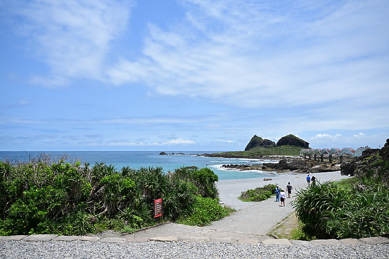 點我看大圖 Nikon Z5II紀錄淡色型和暗色型岩鷺親鳥育雛三隻幼鳥,和高字塔黃腹山雀,最難得三仙台拍到松鴉。