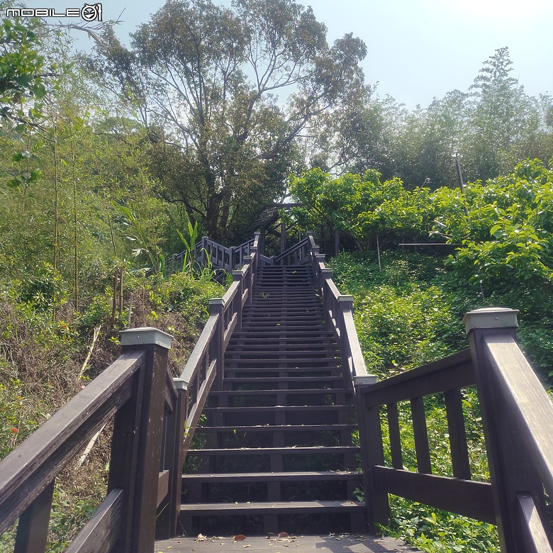 后里區鳳凰山步道+觀音山步道，竹林綠蔭豐富不怕曬的步道!