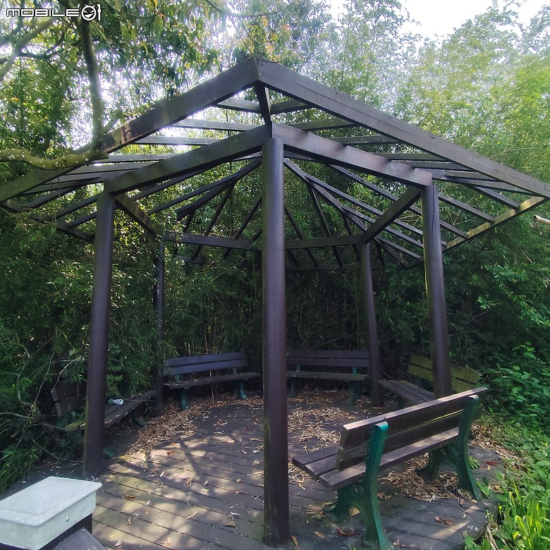 點我看大圖 后里區鳳凰山步道+觀音山步道,竹林綠蔭豐富不怕曬的步道!