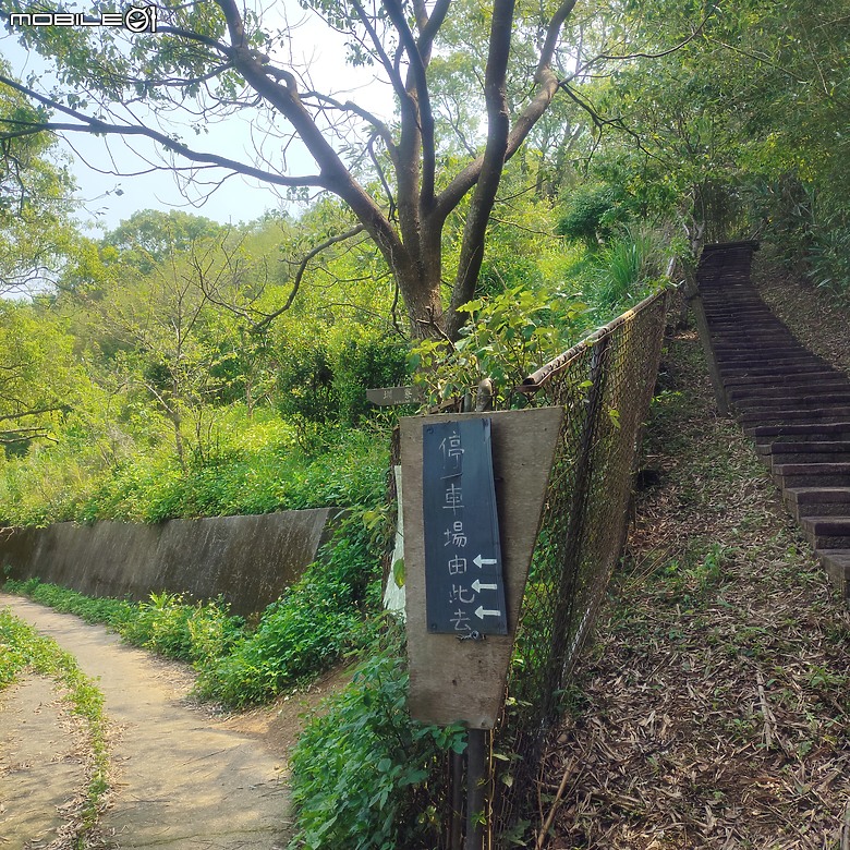 后里區鳳凰山步道+觀音山步道，竹林綠蔭豐富不怕曬的步道!