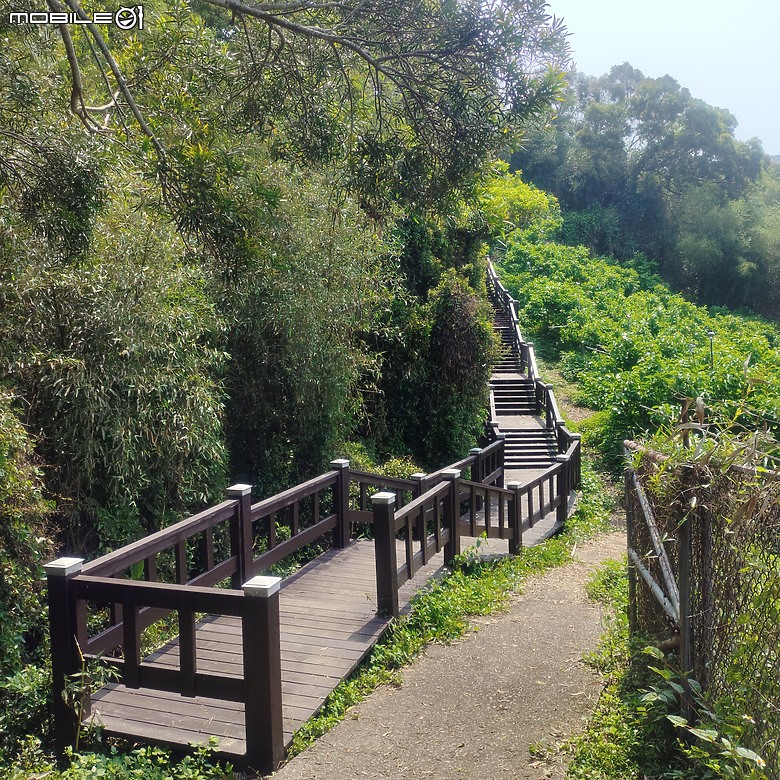 后里區鳳凰山步道+觀音山步道，竹林綠蔭豐富不怕曬的步道!