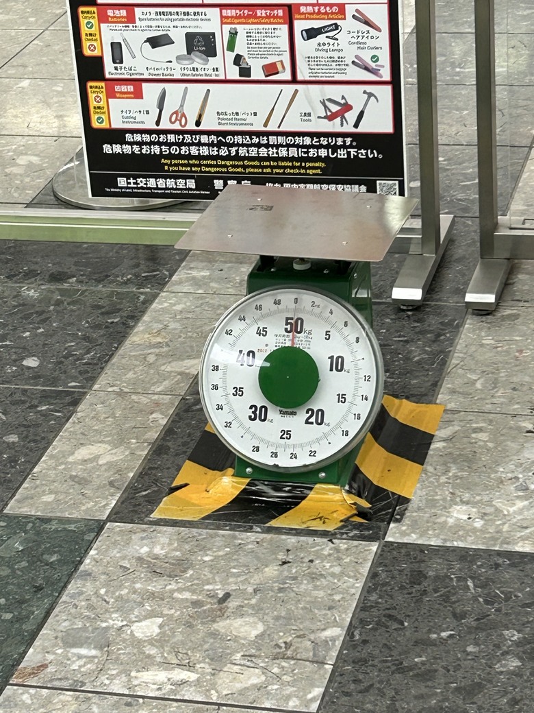 仙台第五日，山朱萸，榴岡公園