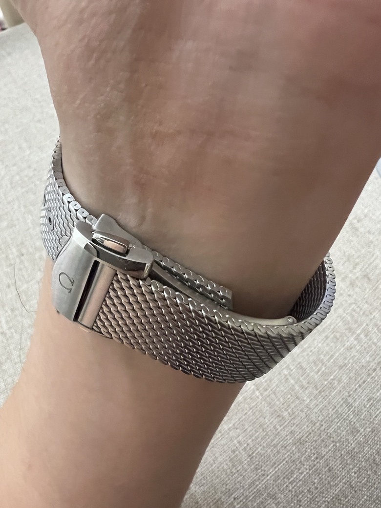 開箱分享 銀灰不鏽鋼面盤Seamaster 300海馬，醜帥的代表