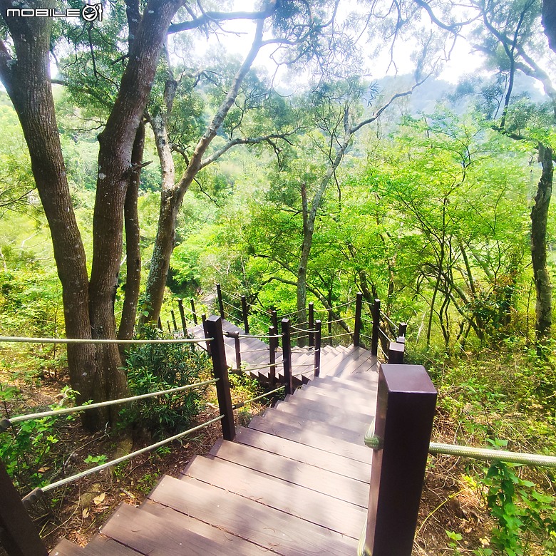 后里區鳳凰山步道+觀音山步道，竹林綠蔭豐富不怕曬的步道!