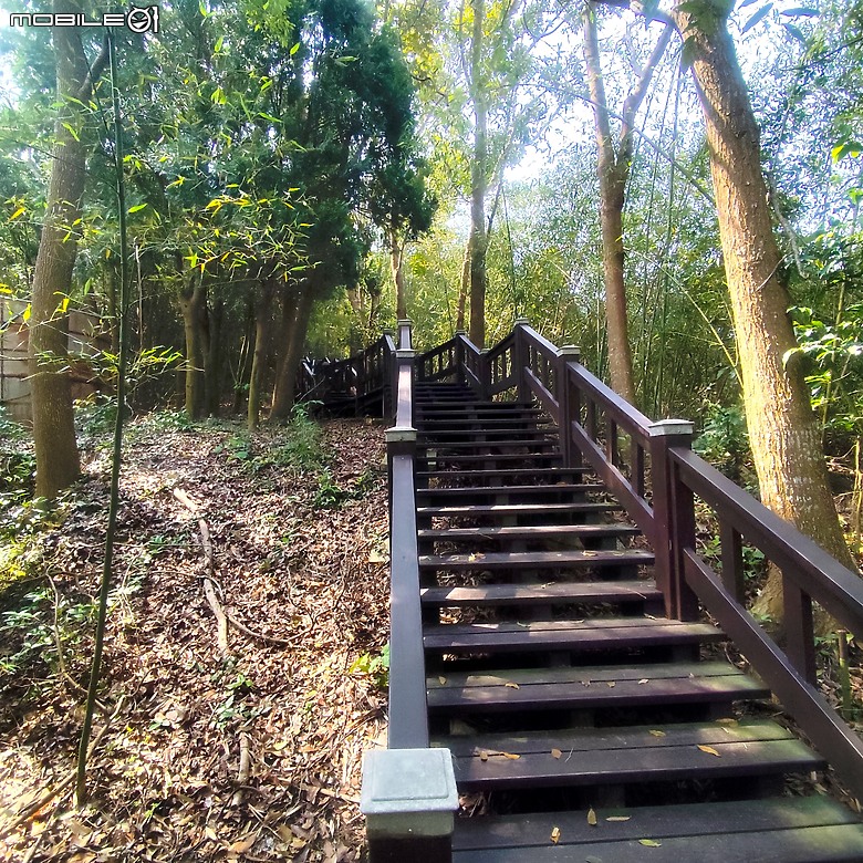 后里區鳳凰山步道+觀音山步道，竹林綠蔭豐富不怕曬的步道!