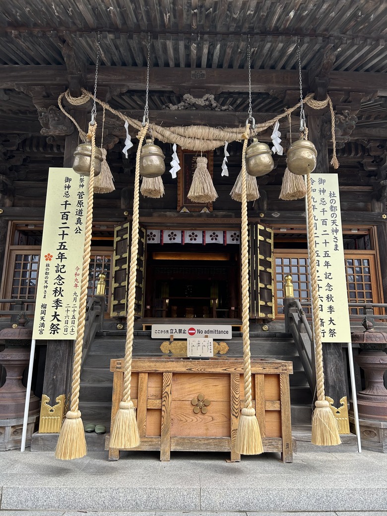 仙台第五日，山朱萸，榴岡公園