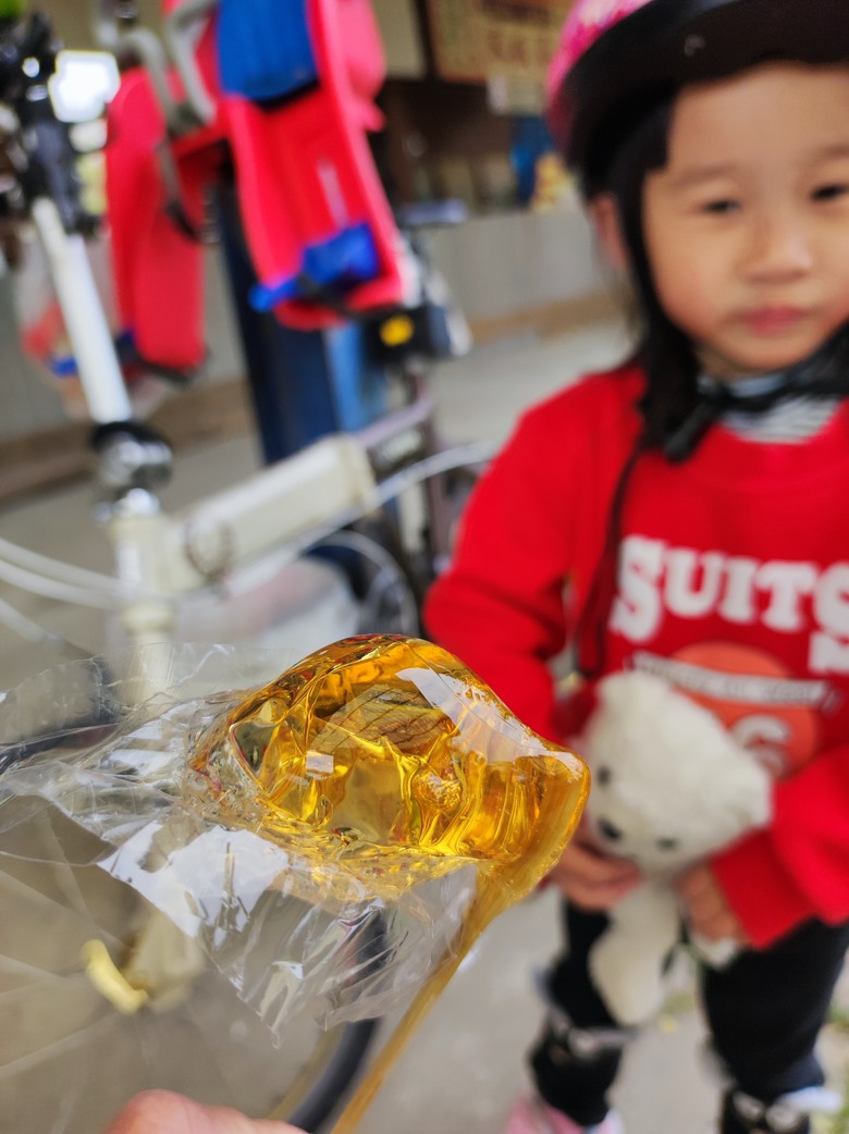2025年，嘉南，小小孩的騎旅，日不落木棉花道^_^