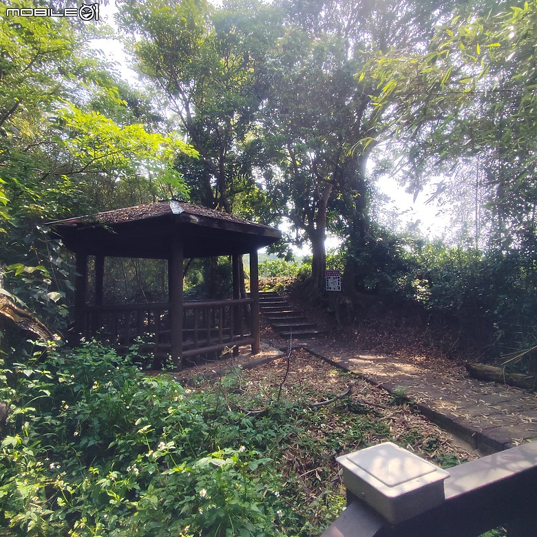 后里區鳳凰山步道+觀音山步道，竹林綠蔭豐富不怕曬的步道!