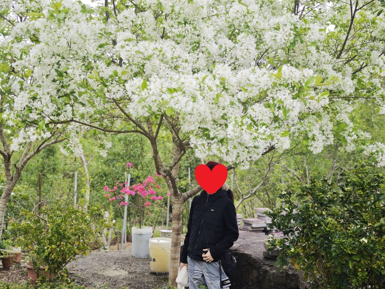 我們家的兩天一夜露營之旅 - 大溪威斯汀明園午餐 / 熊老大露營區 / 丸山咖啡 / 樂灣Warehouse / 紅鱻餐廳 / 河唇埔福德祠