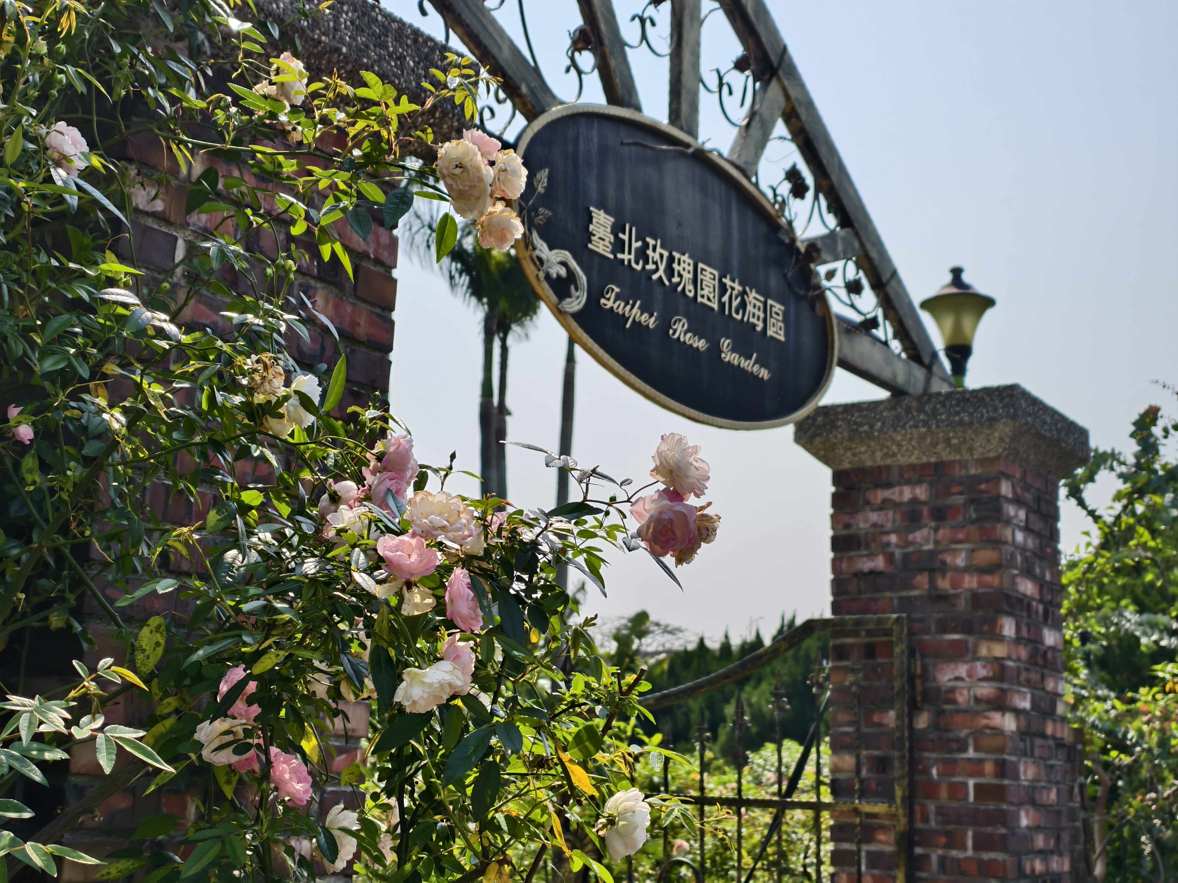 【台北市】花博公園新生園區 (玫瑰展、天使生活館、植物典藏館)