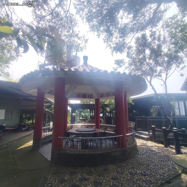 后里區鳳凰山步道+觀音山步道，竹林綠蔭豐富不怕曬的步道!