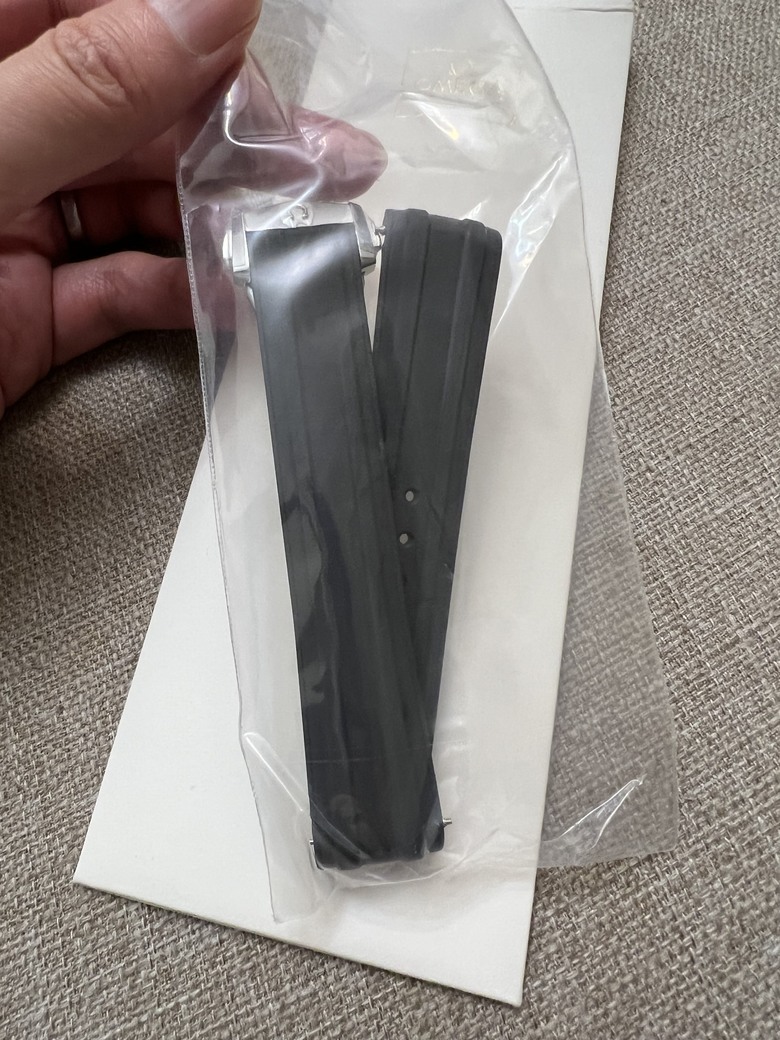 開箱分享 銀灰不鏽鋼面盤Seamaster 300海馬，醜帥的代表