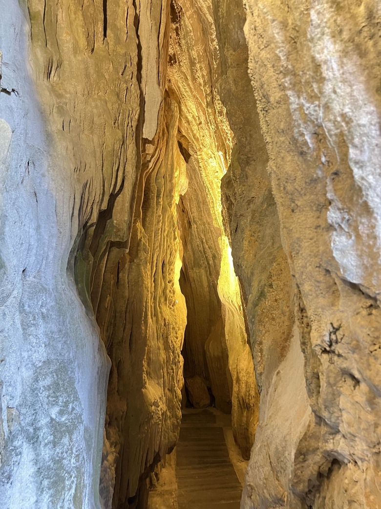 藏在最南點森林裡的龍穴與餐桌——墾丁國家森林遊樂區一日探險