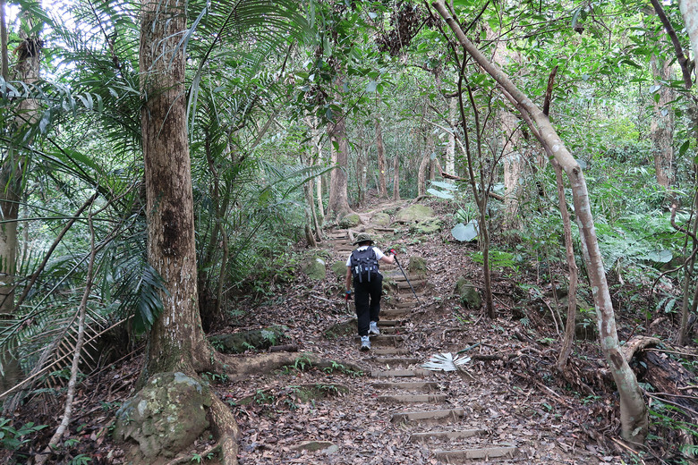 【打鐵寮古道.白石山 】桃園大溪一條充滿人文歷史的百年古道