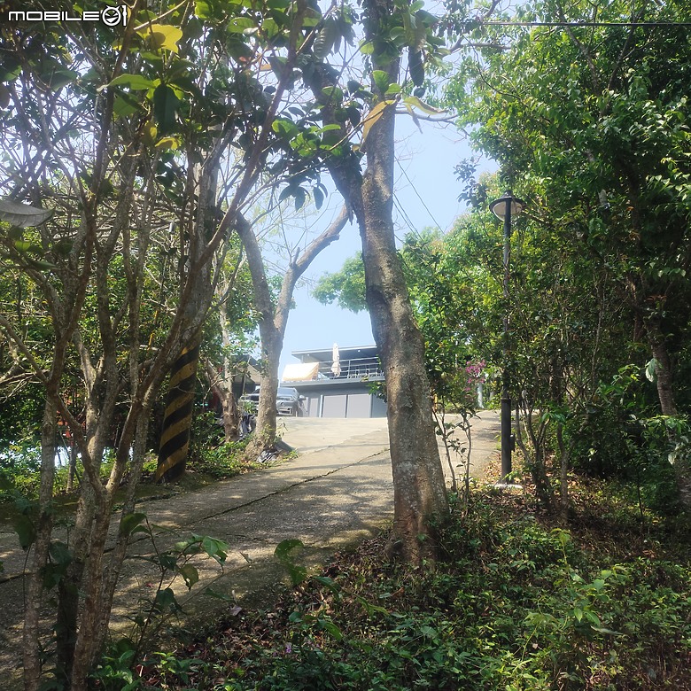 后里區鳳凰山步道+觀音山步道，竹林綠蔭豐富不怕曬的步道!