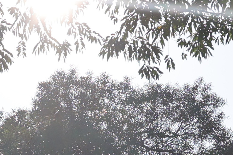 Sigma 16-300mm f/3.5-6.7 DC OS Contemporary 評測報告｜當今 APS-C 旅遊鏡首選！