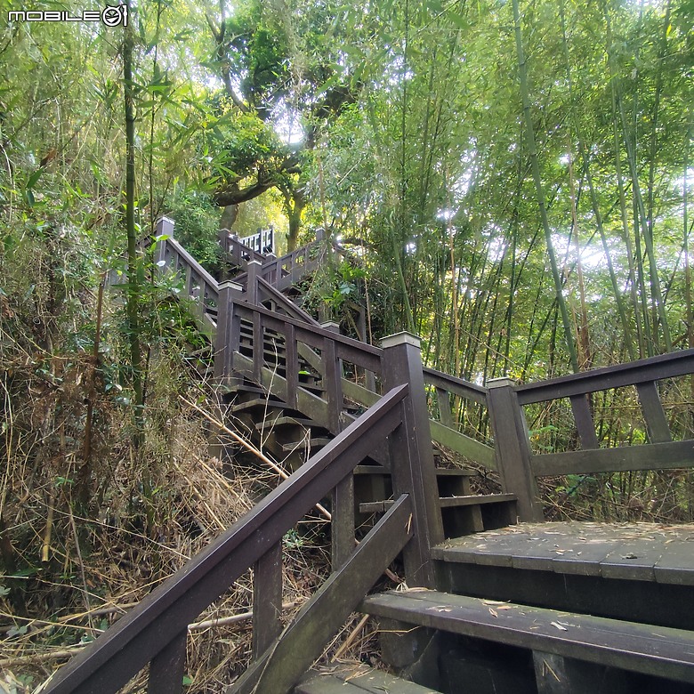 后里區鳳凰山步道+觀音山步道，竹林綠蔭豐富不怕曬的步道!