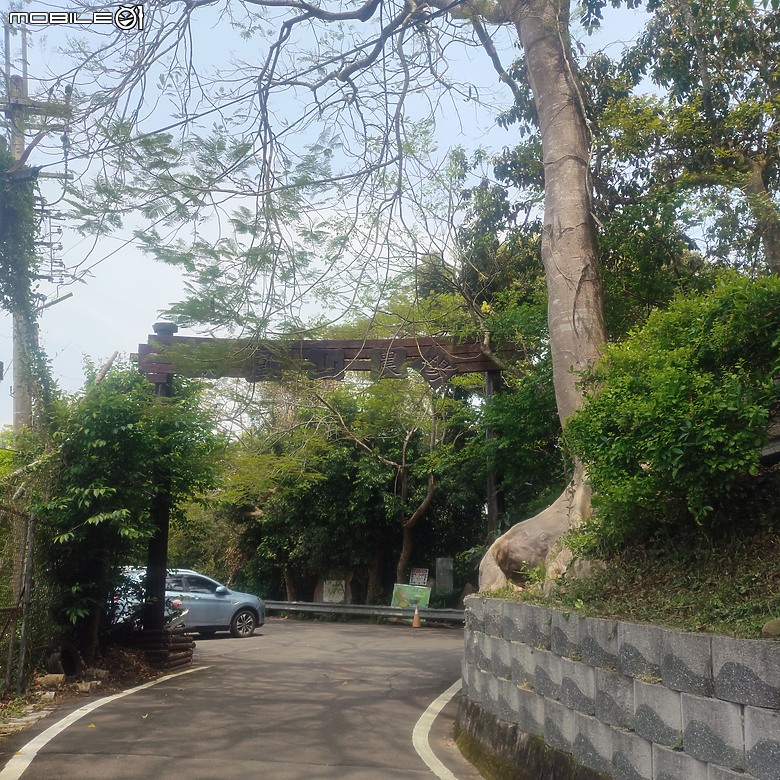 點我看大圖 后里區鳳凰山步道+觀音山步道,竹林綠蔭豐富不怕曬的步道!