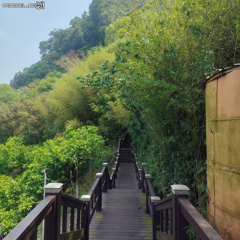 后里區鳳凰山步道+觀音山步道，竹林綠蔭豐富不怕曬的步道!