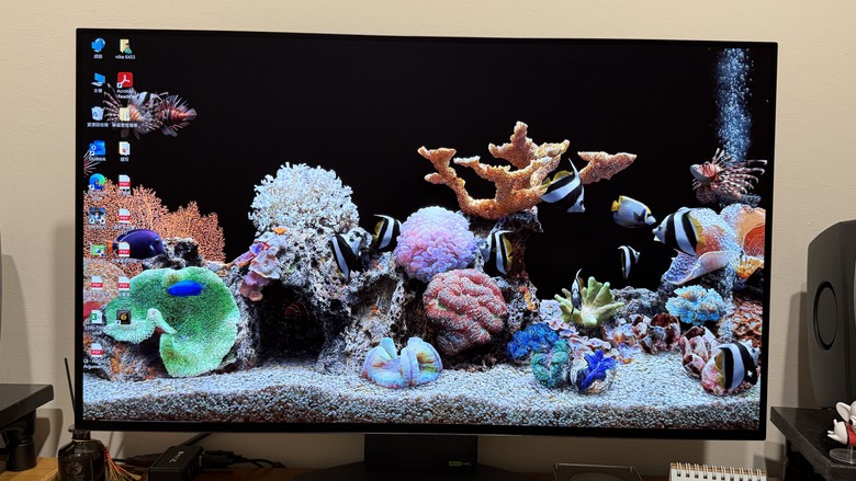 LG32GS95UV幫女兒小開箱OLED