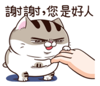 4/7~4/9本宮只有買進，感謝川普🇺🇲