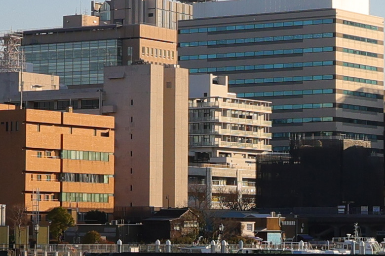 Sigma 16-300mm f/3.5-6.7 DC OS Contemporary 評測報告｜當今 APS-C 旅遊鏡首選！