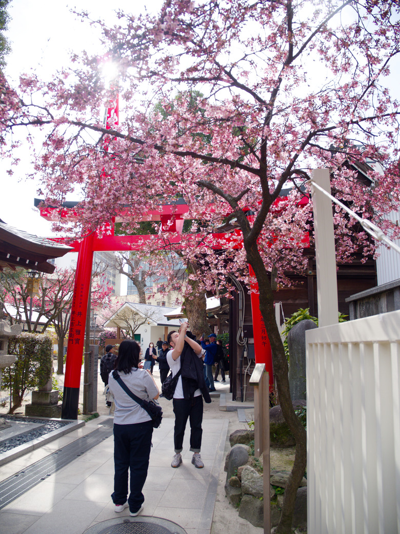 [福岡]鬧市中的櫛田神社