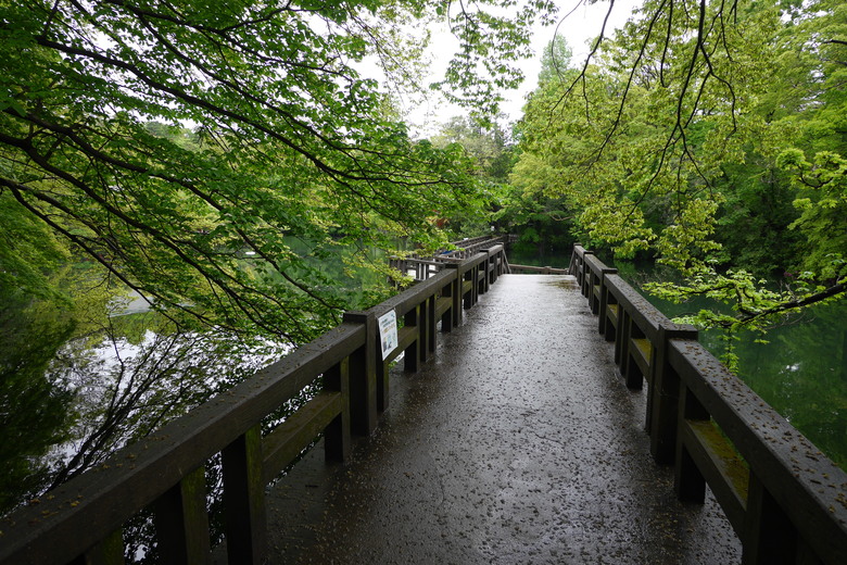 井之頭恩賜公園