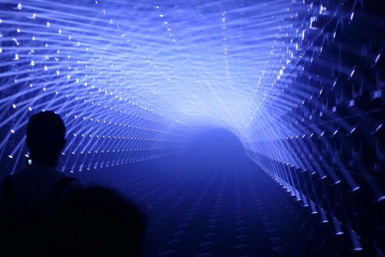 teamLab Borderless Light sculptures