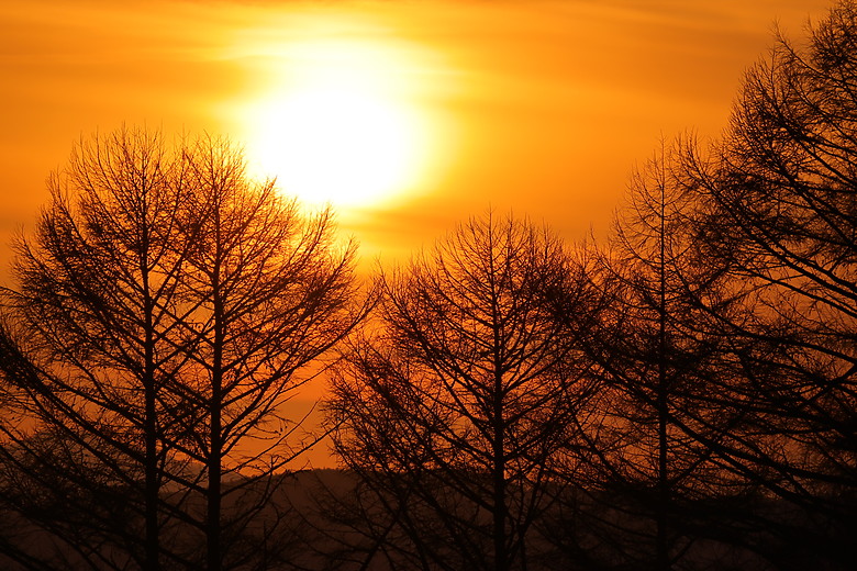 Sigma 16-300mm f/3.5-6.7 DC OS Contemporary 評測報告｜當今 APS-C 旅遊鏡首選！