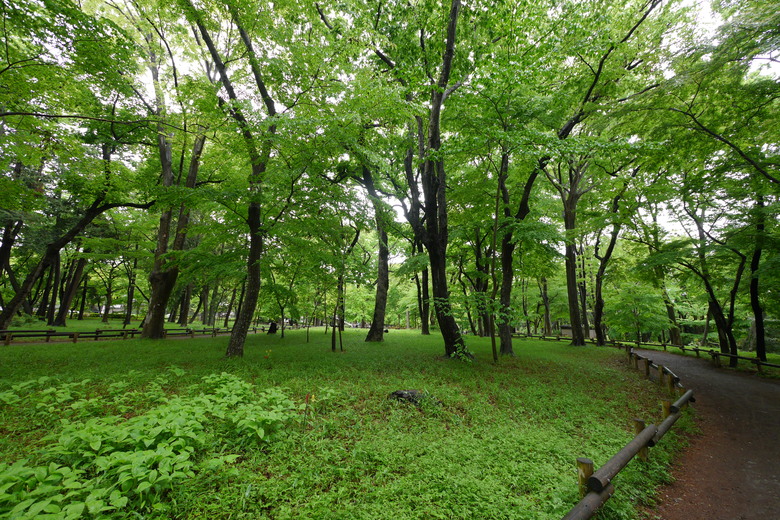 井之頭恩賜公園