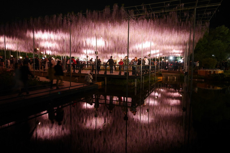 足利花卉公園