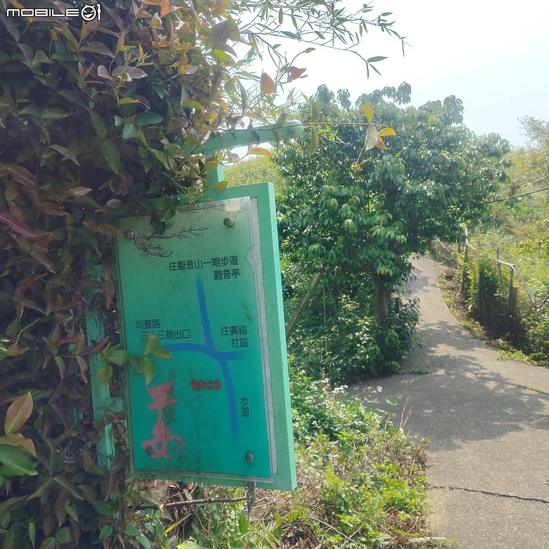 后里區鳳凰山步道+觀音山步道，竹林綠蔭豐富不怕曬的步道!