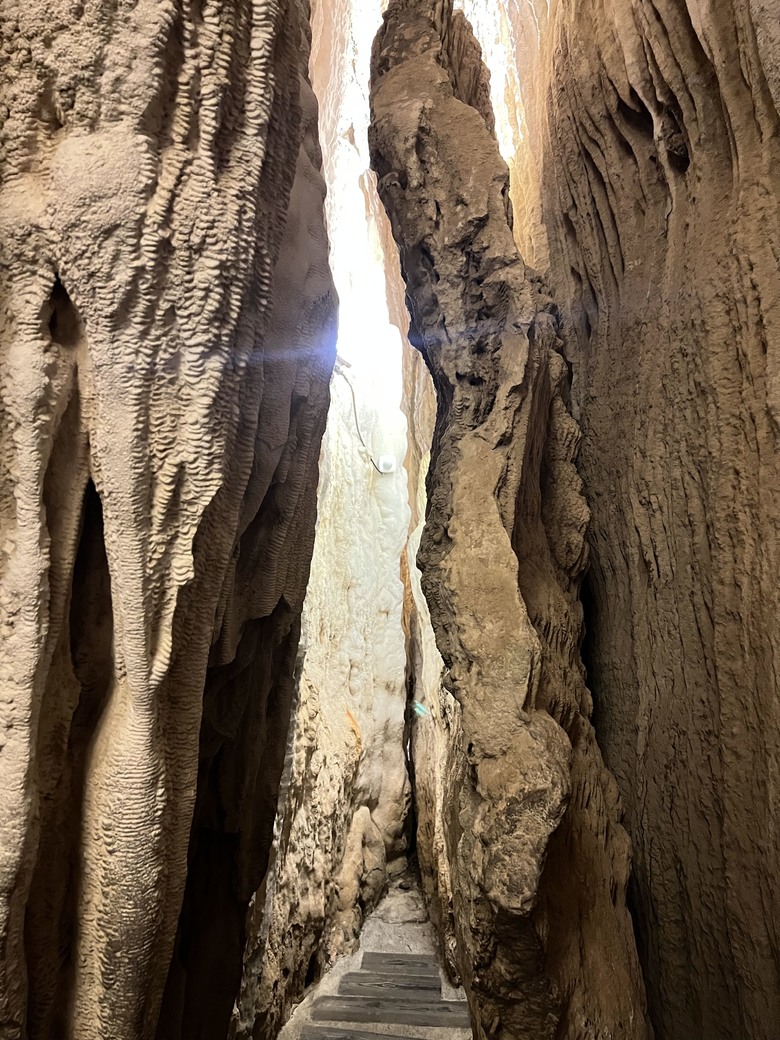 藏在最南點森林裡的龍穴與餐桌——墾丁國家森林遊樂區一日探險