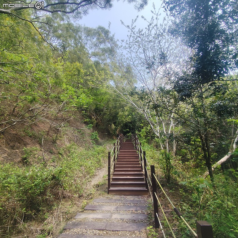 后里區鳳凰山步道+觀音山步道，竹林綠蔭豐富不怕曬的步道!