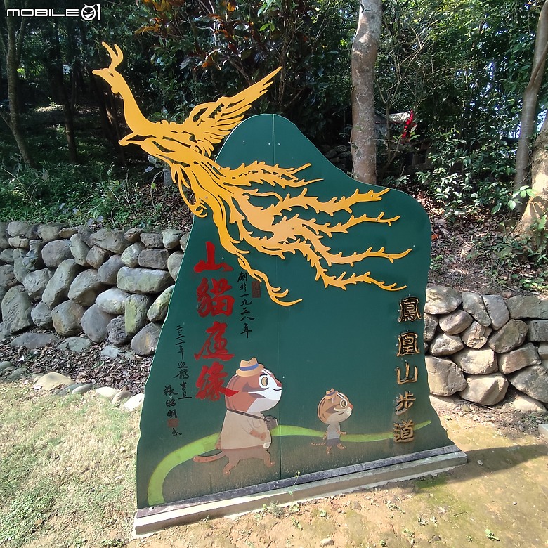 點我看大圖 后里區鳳凰山步道+觀音山步道,竹林綠蔭豐富不怕曬的步道!
