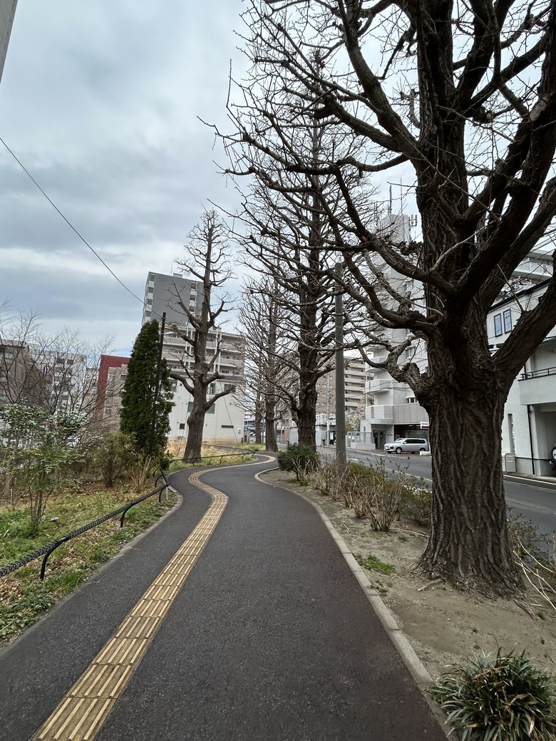 仙台第五日，山朱萸，榴岡公園