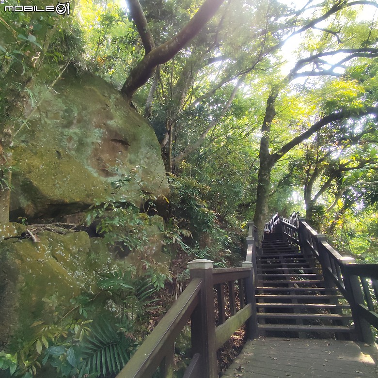 后里區鳳凰山步道+觀音山步道，竹林綠蔭豐富不怕曬的步道!