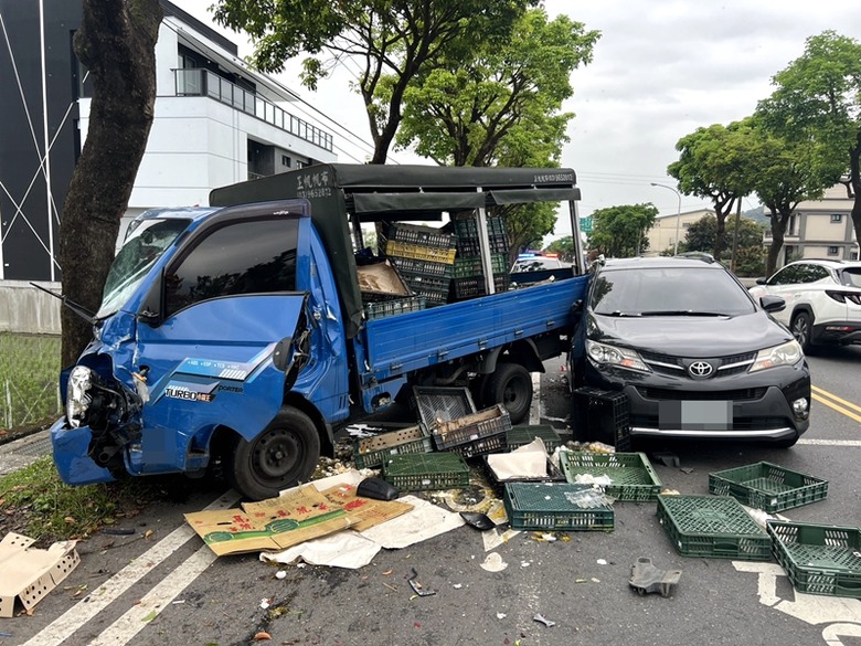 小貨車紅燈急煞，撞路樹，大量下蛋
