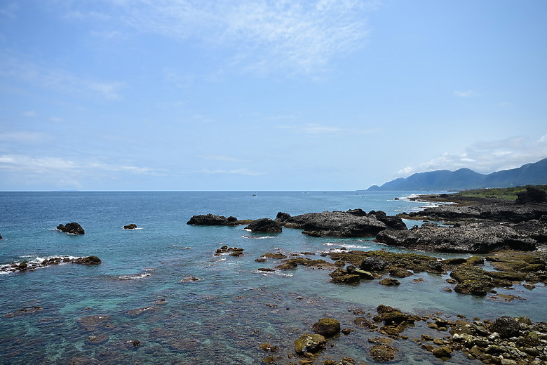 點我看大圖 Nikon Z5II紀錄淡色型和暗色型岩鷺親鳥育雛三隻幼鳥,和高字塔黃腹山雀,最難得三仙台拍到松鴉。