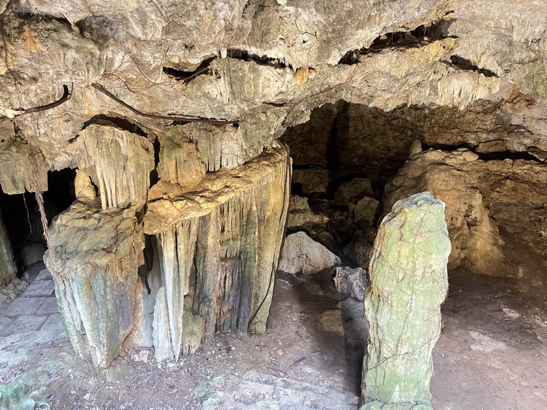 藏在最南點森林裡的龍穴與餐桌——墾丁國家森林遊樂區一日探險