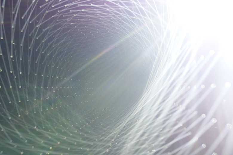 teamLab Borderless Light sculptures