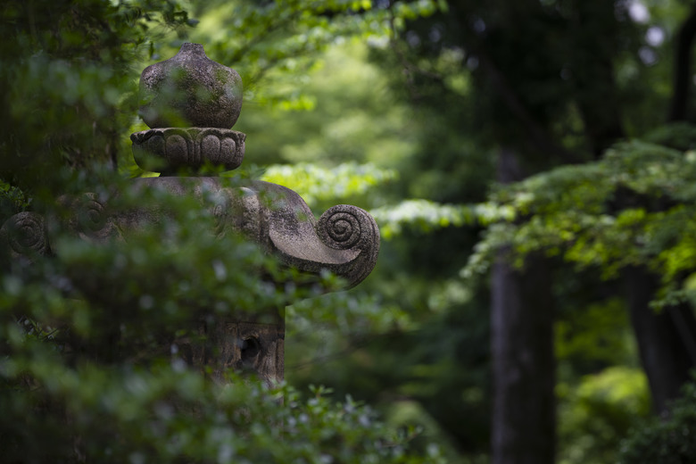 NIKKOR Z 135mm f/1.8 S Plena – 攝影 I人的安全距離