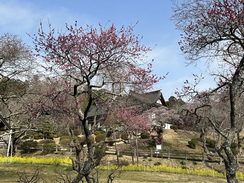 仙台自由行4th 三本咖啡-鹽竈神社-松島-瑞巖寺-中尊寺-Eggs in Things