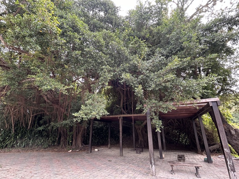 軍事堡壘與惡地交織的漯(ㄊㄚˋ)底山自然公園