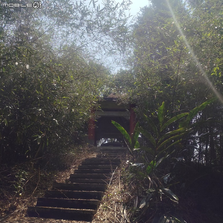 后里區鳳凰山步道+觀音山步道，竹林綠蔭豐富不怕曬的步道!