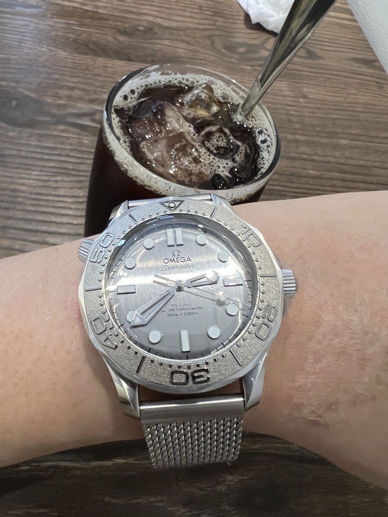 開箱分享 銀灰不鏽鋼面盤Seamaster 300海馬，醜帥的代表