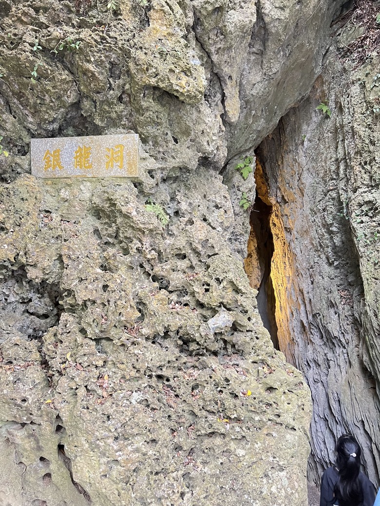 藏在最南點森林裡的龍穴與餐桌——墾丁國家森林遊樂區一日探險