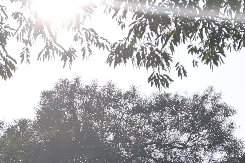 Sigma 16-300mm f/3.5-6.7 DC OS Contemporary 評測報告｜當今 APS-C 旅遊鏡首選！