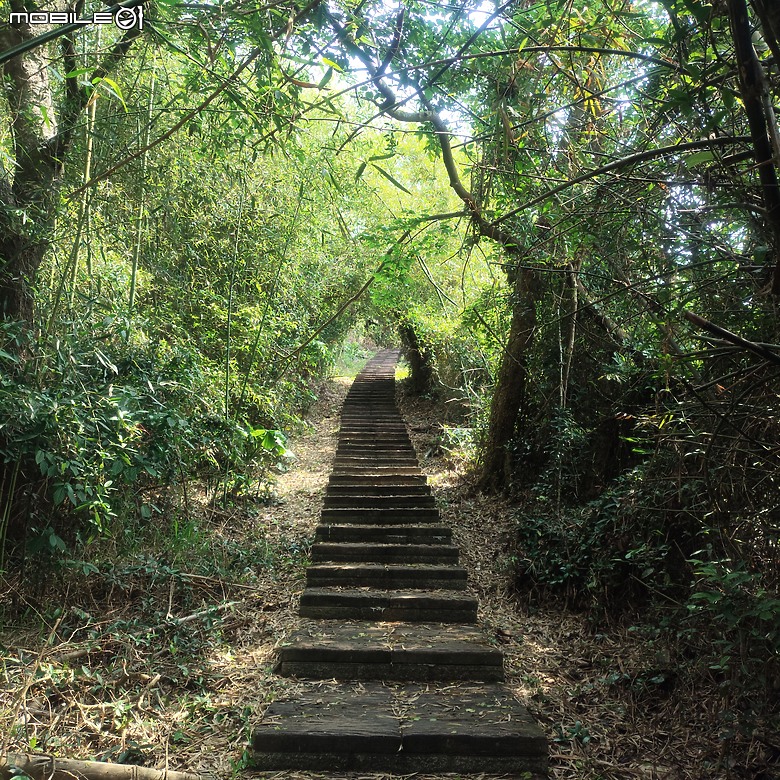 后里區鳳凰山步道+觀音山步道，竹林綠蔭豐富不怕曬的步道!